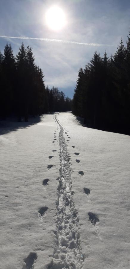 Apartment Hildegard Neustift im Stubaital Εξωτερικό φωτογραφία