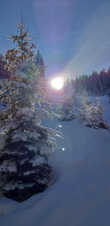 Apartment Hildegard Neustift im Stubaital Εξωτερικό φωτογραφία